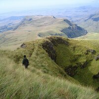 Hatim Eltayeb (@hatimeltayeb) 's Twitter Profile