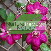 UCC Nurture Through Nature(@UCCNatureEdEYCS) 's Twitter Profile Photo