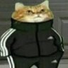 ChockTop's profile picture. All things crypto / nft / defi