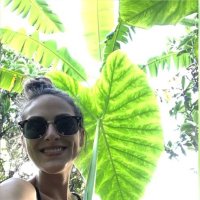 Friederike J.R. Wölke (@friederikewolke) 's Twitter Profile
