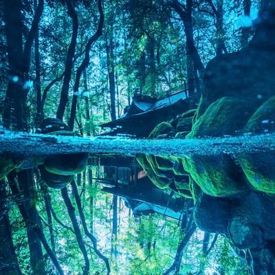 Duzhsbdvghzjaha's profile picture. 