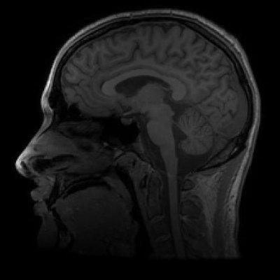 Composer / Oboist / Visual Artist
York, UK
https://t.co/KZj6TTIbfg
https://t.co/ydvVu9ocSy