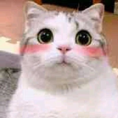 mohamed1981ful2's profile picture. Let the bullet fly for a while