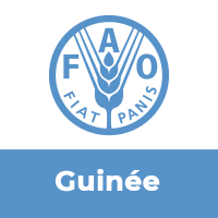 FAO Guinée (@faoguinee) 's Twitter Profile Photo FAO Guinée (@faoguinee) 's Twitter Profile Photo
