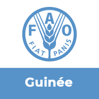 FAO Guinée(@FAOGuinee) 's Twitter Profile Photo