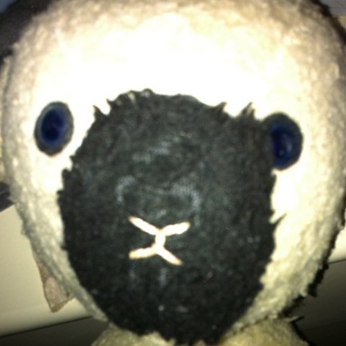 MamaSeve's profile picture. History teacher & history lover. Specific interests in death, memory and material culture. HOY yr11. I write a bit, I read a bit. I teach a bit (well alot).