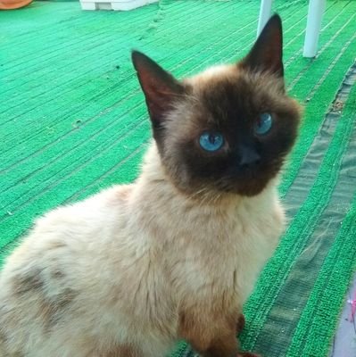 Muchas veces pensamos en las mejores cosas que tiene la vida, pero lo mejor de la vida no son cosas, son sentimientos.