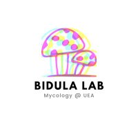 Stefan Bidula (@sbidula) 's Twitter Profile