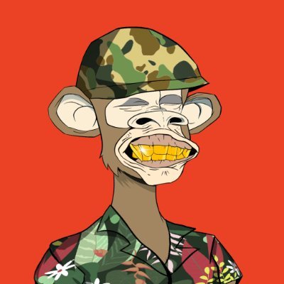 ApeClubCNFT's profile picture. 