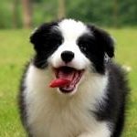 Czikie's profile picture. 😀, Programer，Deeplearning