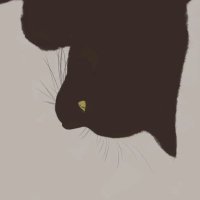 我想睡觉 (@lexieee520520) 's Twitter Profile