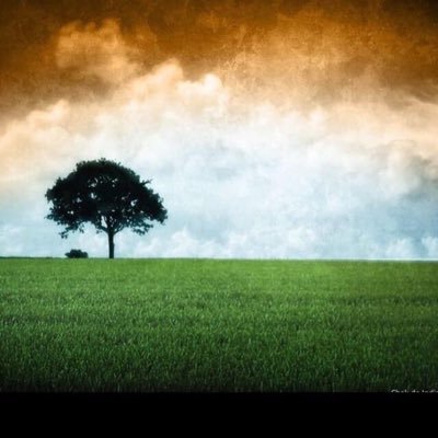 aBombayite's profile picture. a fuddy-duddy!