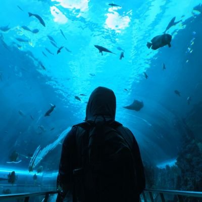 HarveyWu2000's profile picture. 