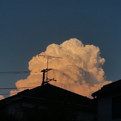 ★DMにて持ち込み受付中です! ※スパム対策でDM閉じてます…!!持ち込み希望の方は一度フォローいただくか、メンションしていただけますと幸いです。【担当作】 週マガ 『#黙示録の四騎士』『#カッコウの許嫁』『#篝家の8兄弟』 マガポケ 『#ハナバス』 別マガ 『#柊さんちの吸血事情』