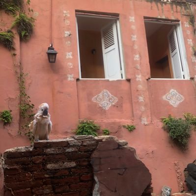 ty_brass's profile picture. I build and run sales teams that don’t suck.