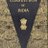 surender19601's profile image