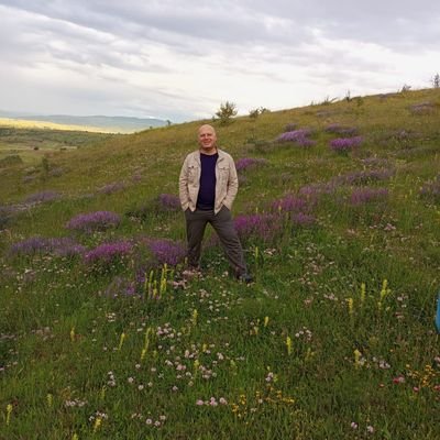 ibrahimscalis's profile picture. 