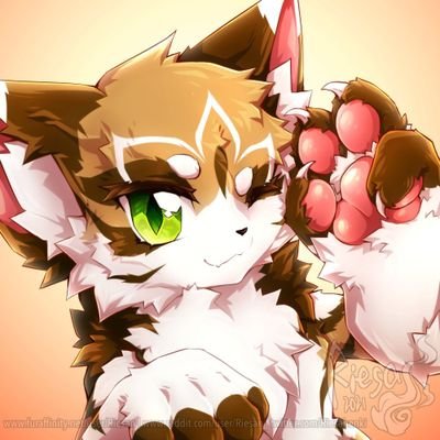 Meelixさんのプロフィール画像