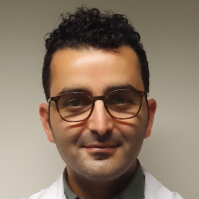Hamid MERDJI, MD, PhD Profile