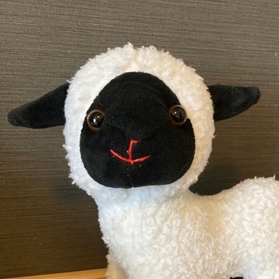 モンさんだモン💕モンサンミッシェル出身の可愛いヒツジだモン。よろしくモン🐑✨youtubeモンさんちゃんねるではモンさんの平和な日常を垣間見る事が出来るモン🐑😎