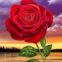 المارد السوداني (@ewahish2010) 's Twitter Profile