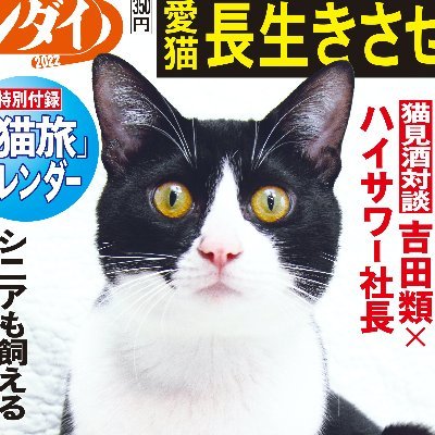 夕刊紙「日刊ゲンダイ」が年に一回
発行する“一紙まるごと猫づくし”の特別号です。
🐱「日刊ニャンダイ2025」は
2025年2月13日発売!
Amazonでも発売します
https://t.co/hGmwEjbWIJ
ここでは、取材こぼれ話やリリース情報、スタッフの猫たちとの交流などを発信していきます😺
