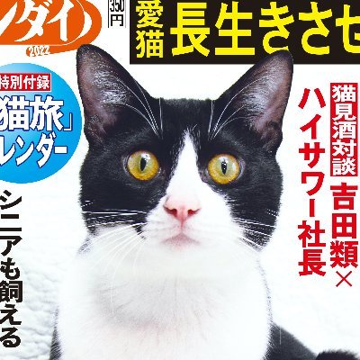 夕刊紙「日刊ゲンダイ」が年に一回
発行する“一紙まるごと猫づくし”の特別号です。
🐱「日刊ニャンダイ2024」は
2024年2月15日発売！

Amazonでも発売します
https://t.co/HuZSBWCz0K

ここでは、取材こぼれ話やリリース情報、スタッフの猫たちとの交流などを発信していきます😺