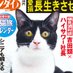 日刊ニャンダイ (@nikkan_nyandai) Twitter profile photo 日刊ニャンダイ (@nikkan_nyandai) Twitter profile photo