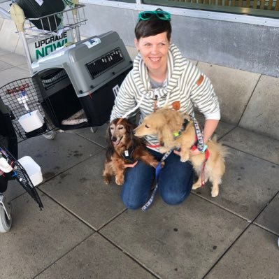 🐶 Felix 🐶 Gino - two dachshunds, one from Denmark and one from Taiwan, joining paws as they move to Denmark from Canada to start a new chapter