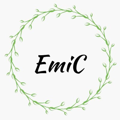 Hotels, restaurants, excursions, entertainment, shopping, car, yacht, plane rental- a lot of discounts in the UAE will be given to a person who has an EmiC coin