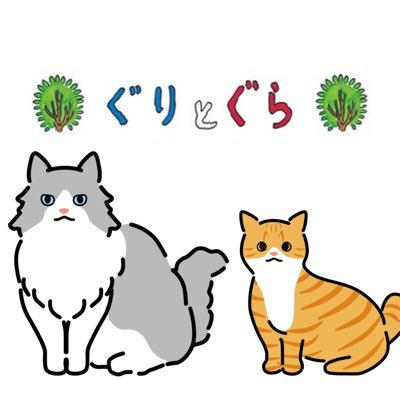 ぐり▶︎ラグドール♂2021.3.17🎂ぐら▶︎スコティッシュフォールド♀2021.07.04🎂 絵本と違って、喧嘩ばかりのぐりとぐらの気ままな毎日をお届けします。