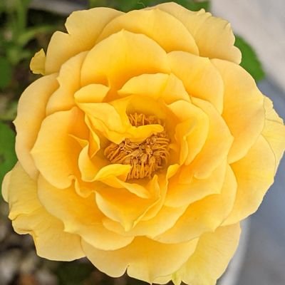 聖三活動専用アカウントです(◍•ᴗ•◍)
まだまだ至らないところの多い初心者ですが、光の皆様方宜しくお願いいたします♡
無言フォロー失礼します(^._.^)
🫧シャボン玉石鹸、スノール、無添加無香料石鹸、生活🫧です🌟柔軟剤や剤のつくもの、地球に害のあるものは私達の体にも良くありません🤮どうか目を覚まして😺