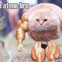 mckenzie bradley - @Mckenziesport - Twitter