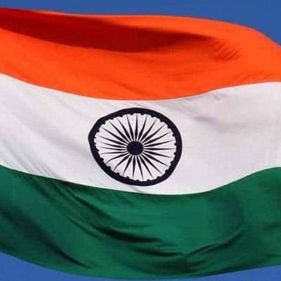 freaky__cat_'s profile picture. INCREDIBLE!!