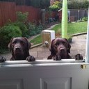 Andrew Winstanley - @TheAndyWigan - Twitter