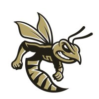 Sprayberry Athletics(@SprayberryATH) 's Twitter Profile Photo