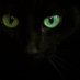 Raphael Evi (@raphevi) Twitter profile photo Raphael Evi (@raphevi) Twitter profile photo
