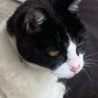 7hBg1sCqMz67PFD's profile picture. こんにちは
初めて登録しましたよろしくお願いします