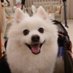 反共親中派🇹🇼🇺🇦🇮🇱🇬🇧🇯🇵🇨🇦🇦🇺🇪🇺 (@bb_gun1031) Twitter profile photo 反共親中派🇹🇼🇺🇦🇮🇱🇬🇧🇯🇵🇨🇦🇦🇺🇪🇺 (@bb_gun1031) Twitter profile photo