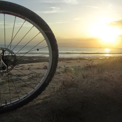 CandelaBuitrag1's profile picture. 