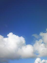 chocolatedays's profile picture. チョコレートがあれば幸せ。  他、小説／音楽／映画／お笑い／紅茶／花のある生活／冬の澄んだ空気／日々に起きるファンタジーが好き。  基本、ナマケモノ。 失礼ながらリフォローはランダムです…。