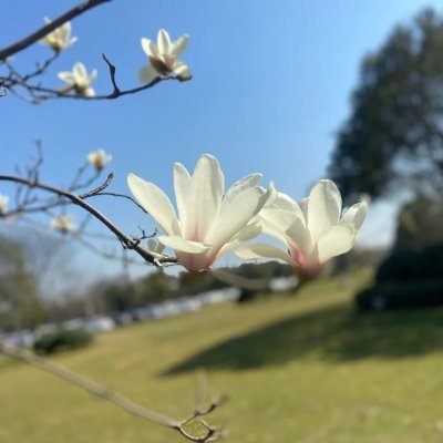 Diane2728230's profile picture. 不学而求知，犹愿鱼而无网。