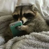 gremlin reads (@gremlin_reads) 's Twitter Profile