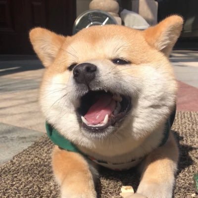 banlilajiao's profile picture. 