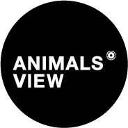 Animals' View (@animalsview_av) 's Twitter Profile Photo Animals' View (@animalsview_av) 's Twitter Profile Photo