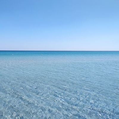 Grimilde0's profile picture. Dalla parte giusta 8 volte su 10.