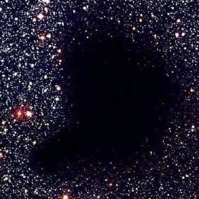 lollonevegas's profile picture. 