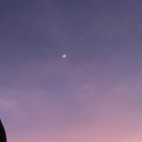oscar (@oscaralt_) 's Twitter Profile