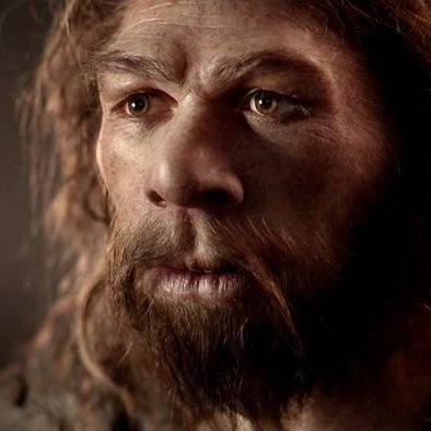 neandergon Profile Picture