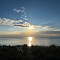 MALMÖ ŞERİFİ👮 (@stoptone35) 's Twitter Profile